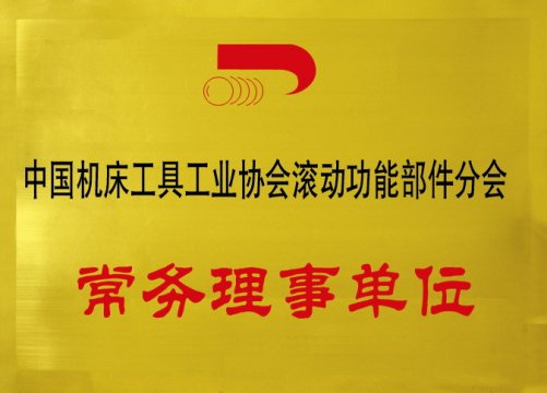 中國機(jī)床工具工業(yè)協(xié)會(huì)滾動(dòng)功能部件分會(huì)常務(wù)理事單位